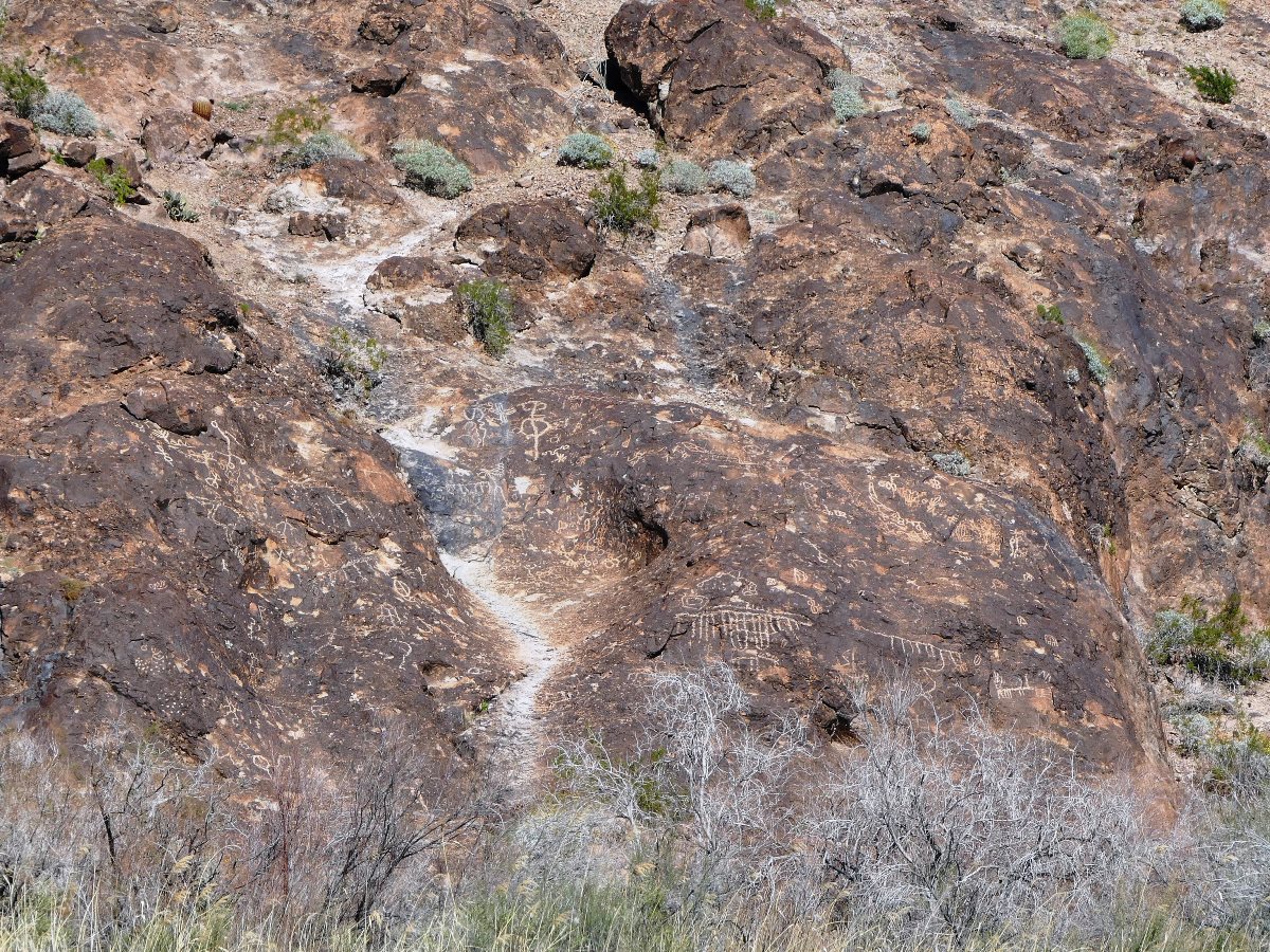 Lake Havasu petroglyphs